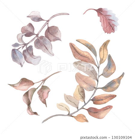 Pastel autumn foliage set. Red leaves and neutral tones branches watercolor isolated. Botanical sketches of foliage in soft beige autumn tones. Delicate plants elements drawing for seasonal designs. Pastel autumn foliage set. Red leaves and neutral tones branches watercolor isolated. Botanical sketches of foliage in soft beige autumn tones. Delicate plants elements drawing for seasonal designs. 130109104