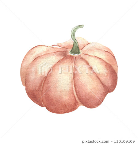 Large orange pumpkin watercolor illustration isolated. Botanical sketch vegetable hand painted in pastel autumn tones. Gourd drawing for seasonal branding, Thanksgiving decor, farm fresh packaging. 130109109