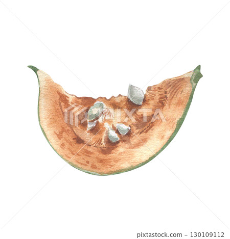 Pumpkin slice watercolor illustration isolated on white. Realistic botanical sketch pumpkin piece with seeds hand painted vintage style. Cut vegetable for seasonal packaging, farm to table designs. 130109112