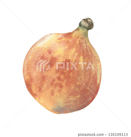 Small round orange pumpkin watercolor illustration isolated on white. Realistic botanical sketch gourd hand drawn. Charming autumn harvest element for seasonal fall labels, Thanksgiving designs. 130109113