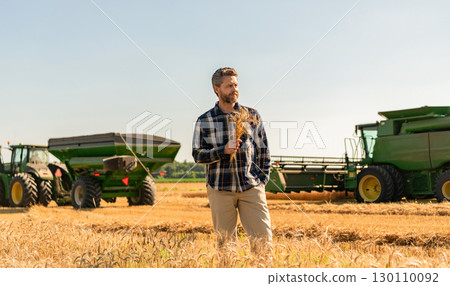 Hispanic man agronomist farmer check agriculture field harvest hold crop spikelet 130110092