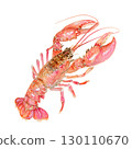 lobster, watercolor, shrimp 130110670