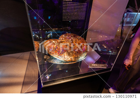 [Osaka Expo 2025] Sci-fi-style exhibits and ammonite fossils inside the Pasona Pavilion [Visiting the popular pavilion] 130110971