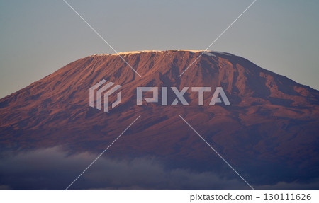 白雪皚皚的乞力馬扎羅山沐浴在清晨的陽光下 白雪皚皚的乞力馬扎羅山沐浴在清晨的陽光下 130111626