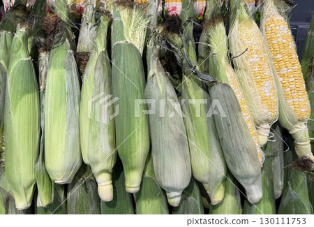 Freshly harvested corn 130111753