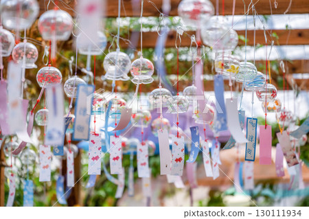 Listel豬苗代夏日風景 130111934