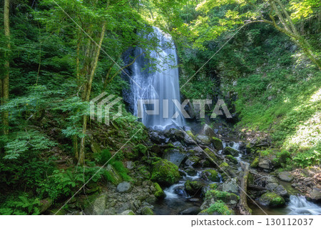 Onogawa immobile waterfall of fresh green 130112037