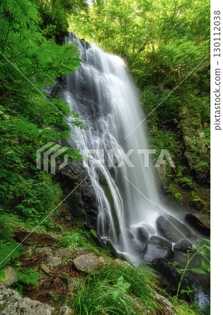 Onogawa immobile waterfall of fresh green Onogawa immobile waterfall of fresh green 130112038