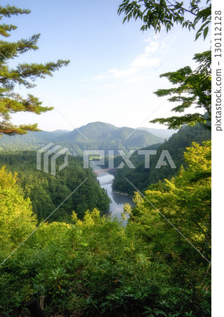 Fresh greenery on the Tadami River No. 1 Bridge 130112128