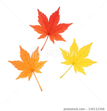 Autumn maple leaf set Autumn fallen leaves illustration material (cutout PNG) 130112308