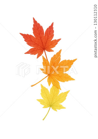 Autumn maple leaf set Autumn fallen leaves illustration material (cutout PNG) 130112310