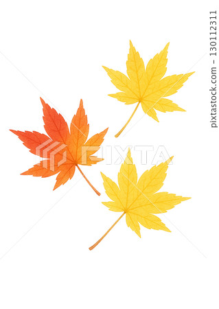 Autumn maple leaf set Autumn fallen leaves illustration material (cutout PNG) 130112311