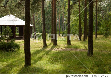 A Peaceful Forest Retreat Featuring a Beautiful Gazebo Nestled in a Sunlit Grove Area A Peaceful Forest Retreat Featuring a Beautiful Gazebo Nestled in a Sunlit Grove Area 130112577