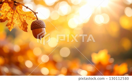 橙色和紅色秋葉上的一顆小橡子 130112580