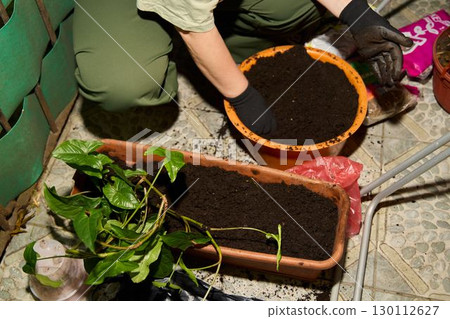 Gardening Essential Potting and Planting Practices for Maintaining Indoor Plants Effectively Gardening Essential Potting and Planting Practices for Maintaining Indoor Plants Effectively 130112627