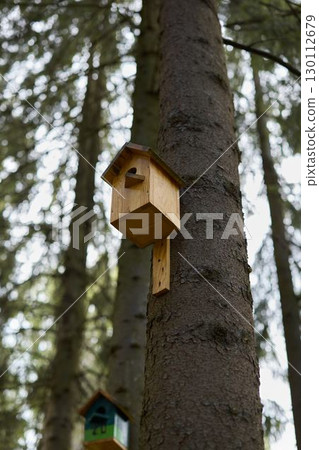 A Beautiful Wooden Birdhouse Perfectly Nesting in a Peaceful Forest Tree in Nature A Beautiful Wooden Birdhouse Perfectly Nesting in a Peaceful Forest Tree in Nature 130112679
