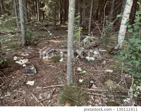Forest Waste Understanding the Impact of Littering in Our Natural Environments and Landscapes Forest Waste Understanding the Impact of Littering in Our Natural Environments and Landscapes 130112811