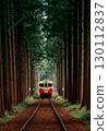 A red and yellow train running through a green forest and a tunnel of trees 130112837
