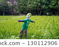 A ripe rice field and a scarecrow 130112906