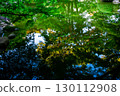 Trees reflected on the surface of a pond 130112908