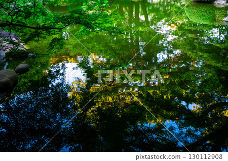 Trees reflected on the surface of a pond 130112908