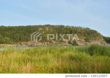 A Serene and Beautiful Landscape featuring Lush Vegetation along with a Rocky Outcrop 130112957