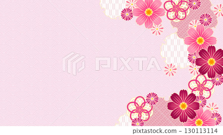 Autumn pink cosmos Japanese style background Autumn pink cosmos Japanese style background 130113114