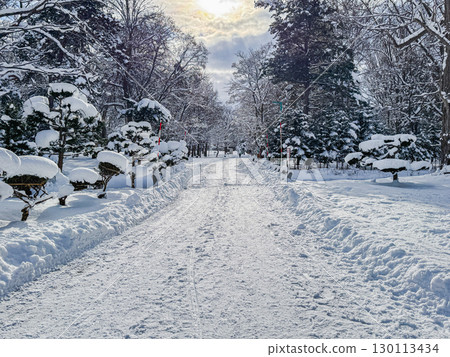 雪域公園 雪域公園 130113434