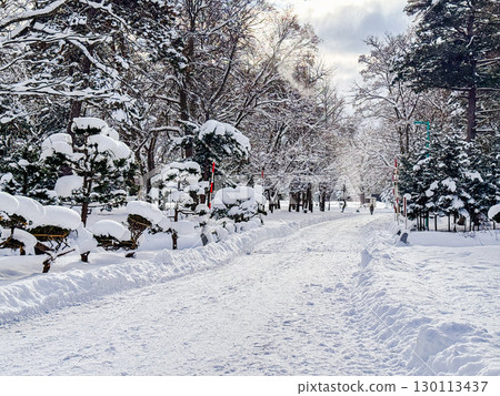 Snowy park 130113437