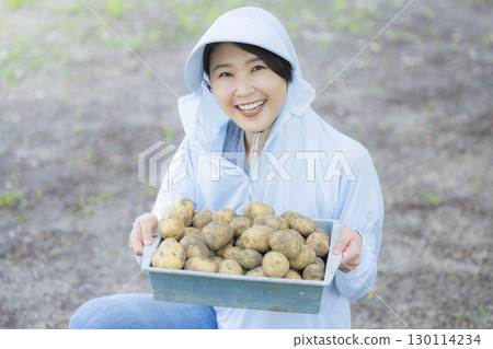 Woman holding harvested potatoes Woman holding harvested potatoes 130114234
