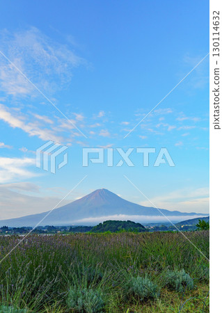 [Yamanashi Prefecture] Lake Kawaguchi and Mount Fuji, photographed from Oishi Park (Fujikawaguchiko Town), Mount Fuji in summer (August) 130114632
