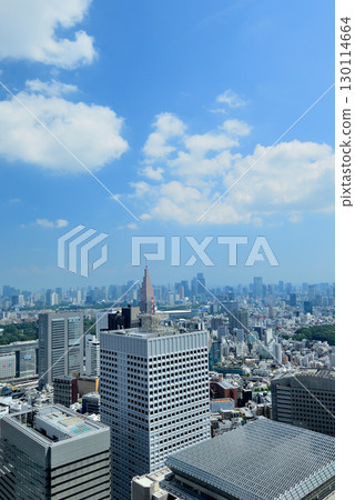 Clouds and urban landscape floating in the summer sky from the Tokyo Metropolitan Government Observatory 130114664