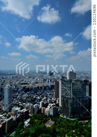 Clouds and urban landscape floating in the summer sky from the Tokyo Metropolitan Government Observatory 130114696