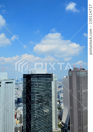 從東京都政府展望台看到的夏日天空中漂浮的雲彩和城市景觀 從東京都政府展望台看到的夏日天空中漂浮的雲彩和城市景觀 130114717