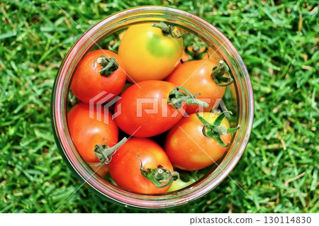 "Aiko" bottles fresh cherry tomatoes picked from her home garden. "Aiko" bottles fresh cherry tomatoes picked from her home garden. 130114830
