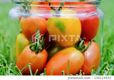 「Aiko」是一瓶在家庭花園裡種植的新鮮櫻桃番茄。 「Aiko」是一瓶在家庭花園裡種植的新鮮櫻桃番茄。 130114832