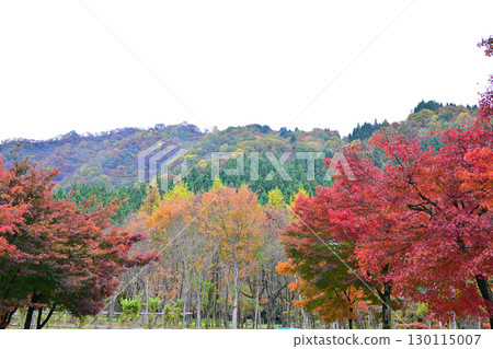 魚沼村的深秋，紅葉，南魚沼市 130115007