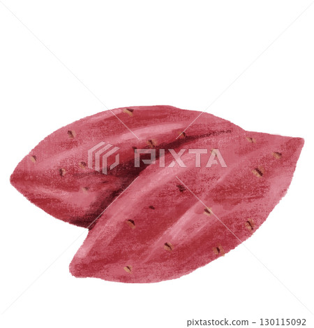 Illustration of sweet potatoes drawn in watercolor Illustration of sweet potatoes drawn in watercolor 130115092