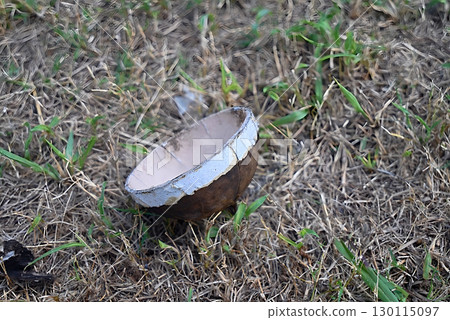 煙火殼（玉川） 130115097