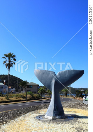 鯨濱公園鯨尾 130115164