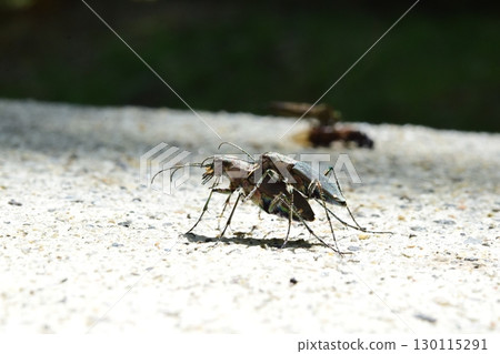 夏季冬季道路封閉圍籬標誌警告 130115291