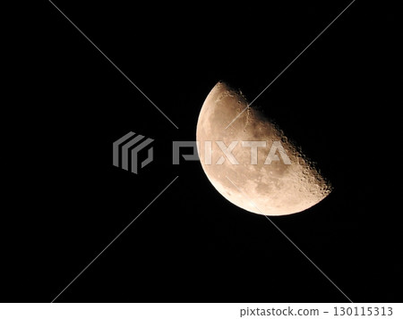 Moon Moon 130115313