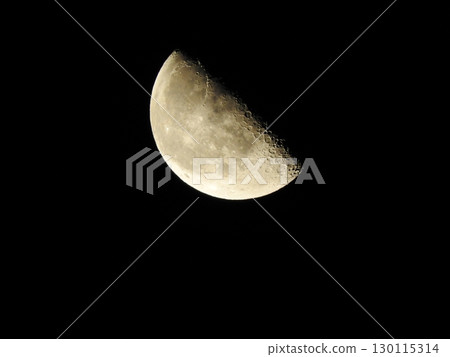 Moon Moon 130115314