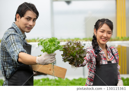 Young Asian man and women farmers smiling while holding fresh hydroponic lettuce in greenhouse. Concept of teamwork, clean food, organic farming, sustainable agriculture, and happy farming lifestyle. 130115361