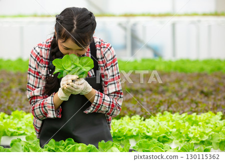 Young woman farmer while smelling fresh hydroponic lettuce in greenhouse. Concept of organic farming, clean food, sustainable agriculture and happiness from healthy harvest. Caring produce with love. 130115362
