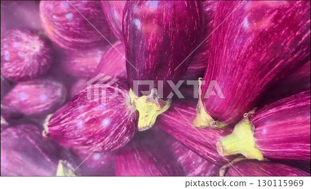 Fresh Purple Eggplants Showcased in an EyeCatching Vibrant Display of Color and Flavor Fresh Purple Eggplants Showcased in an EyeCatching Vibrant Display of Color and Flavor 130115969