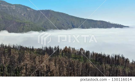 A Breathtaking Aerial View of FogCovered Mountains Following Recent Wildfires and Destruction 130116014