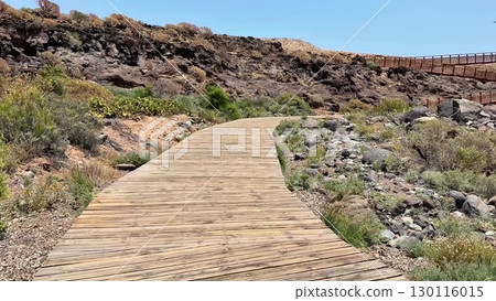 Scenic Wooden Pathway Meandering Through Beautiful Natural Landscape for Outdoor Enthusiasts Scenic Wooden Pathway Meandering Through Beautiful Natural Landscape for Outdoor Enthusiasts 130116015