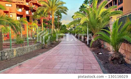 A serene and picturesque scenic walkway that is beautifully surrounded by lush palm trees A serene and picturesque scenic walkway that is beautifully surrounded by lush palm trees 130116029