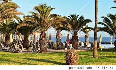 A Stunning Tropical Paradise with Lush Palm Trees and a Beautiful Ocean View Await You A Stunning Tropical Paradise with Lush Palm Trees and a Beautiful Ocean View Await You 130116035
